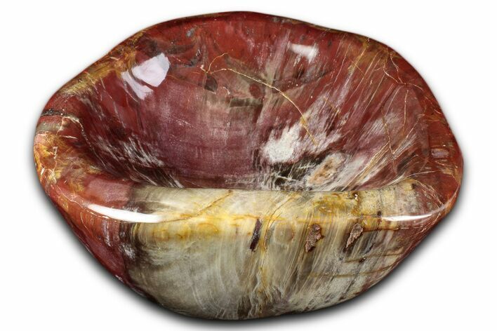 Colorful Polished Petrified Wood Bowl - Madagascar #346832